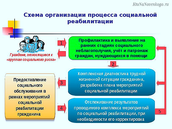 План мероприятий по реализации концепции развития в рф системы комплексной реабилитации