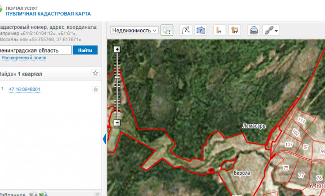Земли лесного фонда на карте. Кадастровая карта леса. Земли лесфонда карта. Как найти земли лесного фонда на карте.