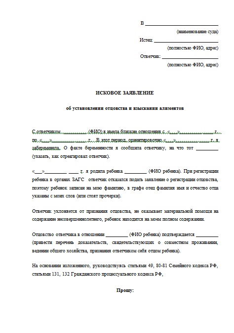 Образец заявления на установление отцовства в судебном порядке со стороны матери